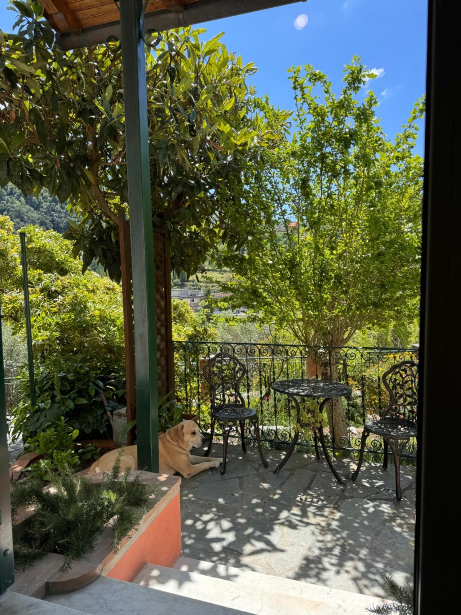 דירות “Da Gio” In Un Antico Borgo Di Genova מראה חיצוני תמונה